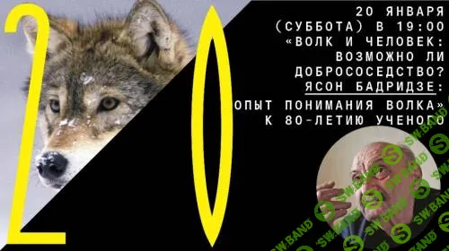 Волк и человек: возможно ли добрососедство? Ясон Бадридзе — опыт понимания волка. К 80-летию ученого [Архэ] [Алексей Верещагин]