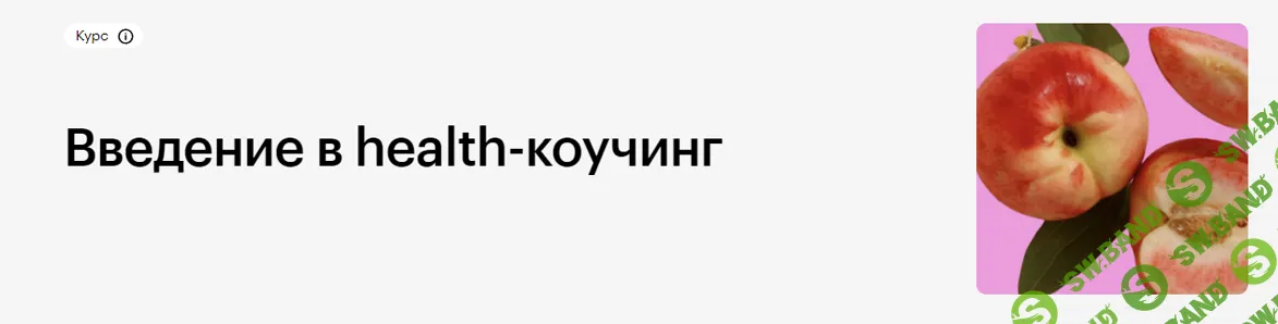 Введение в health-коучинг [Skillbox]