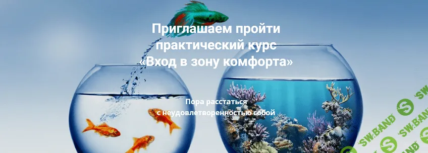 Вход в зону комфорта [Института EMDR и FLASH]
