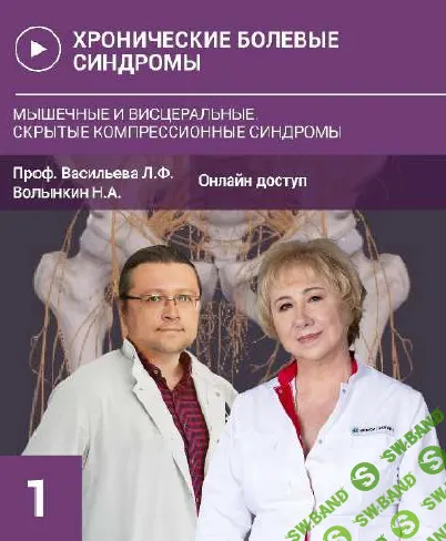 Хронические болевые синдромы. Мышечные и висцеральные. Скрытые компрессионные синдромы [Людмила Васильева, Николай Волынкин]