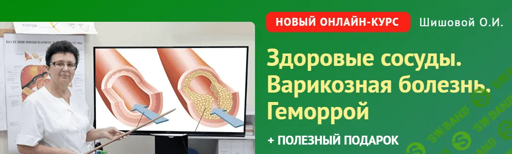 Здоровые сосуды. Варикозная болезнь. Геморрой [Ольга Шишова]