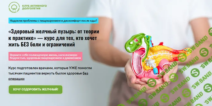 Здоровый желчный пузырь: от теории к практике [Тариф ВИП] [Алексей Маматов]