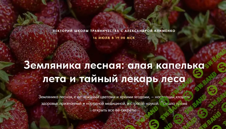 Земляника лесная: алая капелька лета и тайный лекарь леса [Александра Клименко]