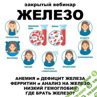 Железо и анемия [pravda.pro.pisheprom] [Женя Братишка, Юля Братишка]