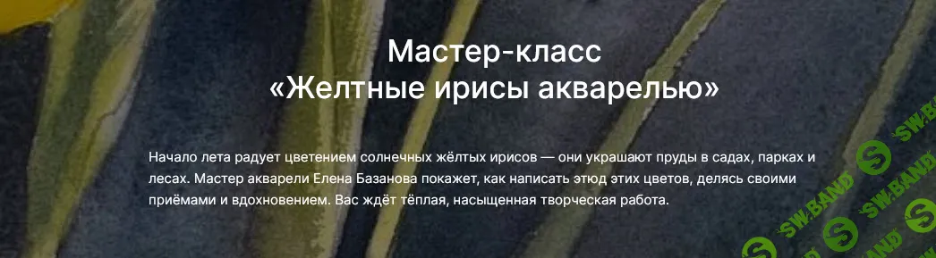 Желтные ирисы акварелью [lectoroom] [Елена Базанова]