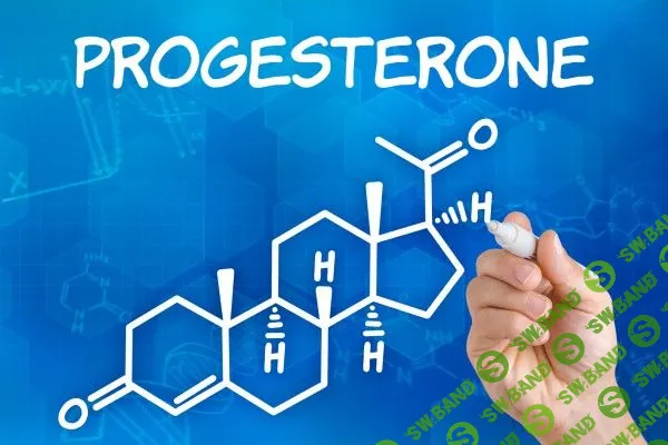 [Жиленко М. И.] Дефицит прогестерона и когнитивные нарушения у женщин