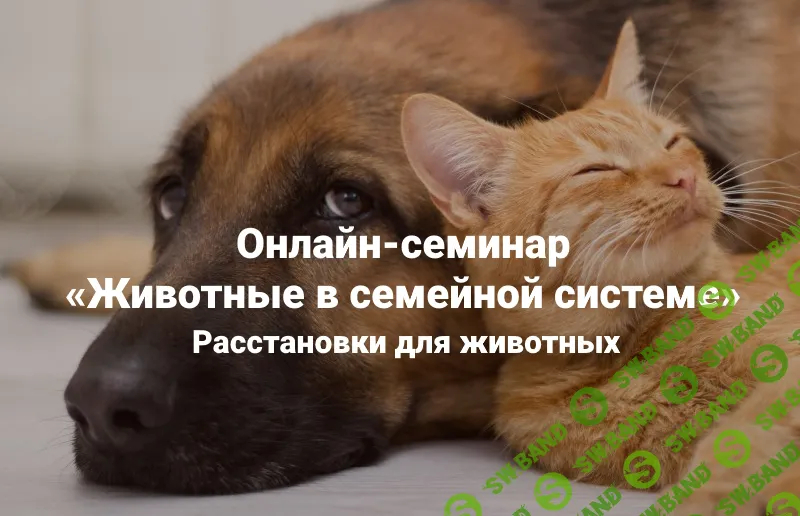 Животные в семейной системе. Расстановки для животных [Институт Открытого поля] [Ирина Степанова]