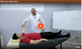Связочно-суставная коррекция. Миофасциальные цепи [Циванюк Антон]