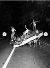 Академия фотографии [Тариф Наставничество] [Игорь Брехов]