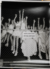 Академия фотографии [Тариф Наставничество] [Игорь Брехов]