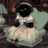 SALAMANDRA_KOKS