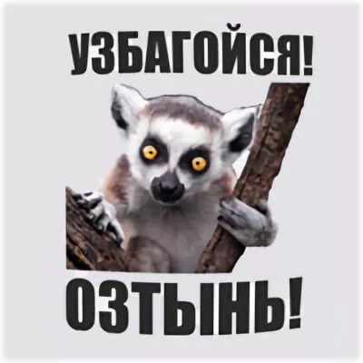 6f4f4g4k4b1-1920.jpg